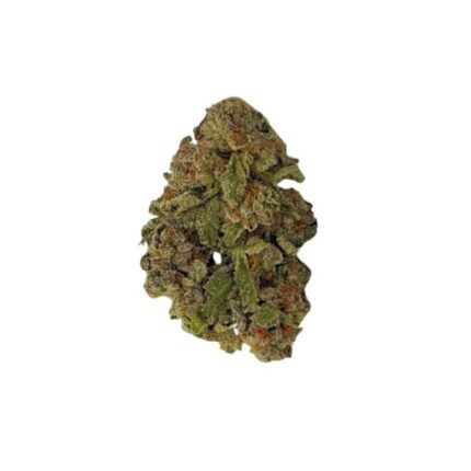 Gelato (AA+)
