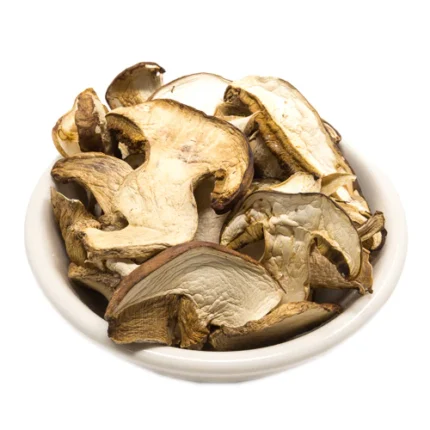 Porcini Mushrooms – Dried porcini mushrooms in UK